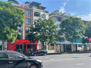 Gia đình tôi bán biệt thự mp nguyễn văn huyên, ngã 4 starlake, da romantic park 161m2 kd 180tr/th