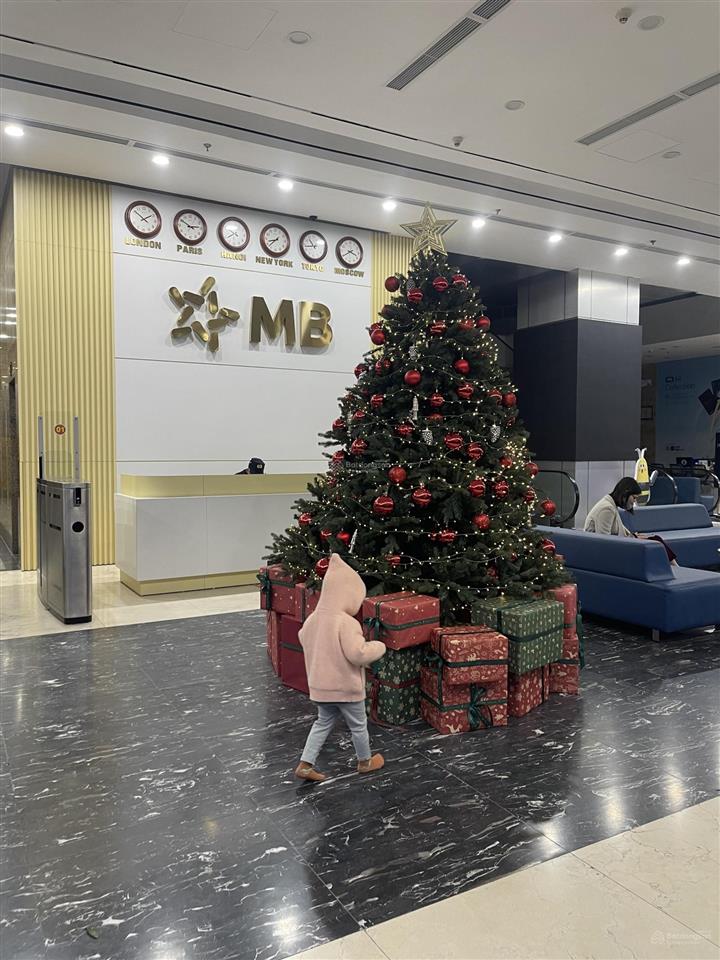 Bán gấp toà văn phòng 11t mặt vincom bà triệu, mp bà triệu 298m2 12mt cho thuê 520tr/th giá 205 tỷ