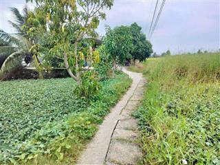 Đất thổ cư giá rẻ, phù hợp đầu tư xây dựng nhà hoặc giữ làm tài sản.