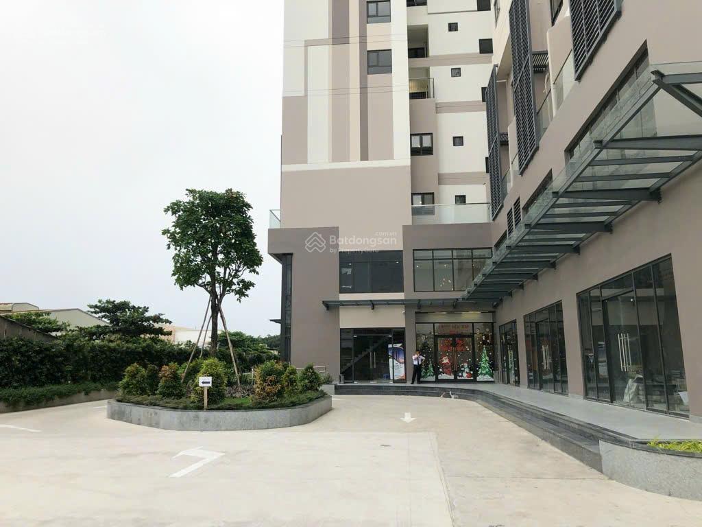 Cần bán căn hộ shophouse nhà thô  khu vực pegasuit vip q8  118m