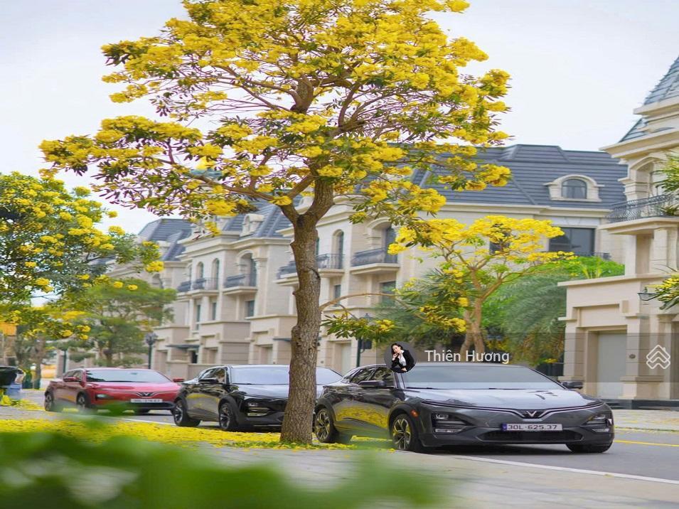Hàng hiếm, bán cắt lỗ liền kề 65m giá 8ty.. vinhomes oceanpark2, gần 10 tòa chung cư