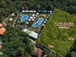 Bán 2000m2, 3000m2 trong làng resort cửa lấp. kinh doanh du lịch cực kỳ tốt, cho thuê full phòng