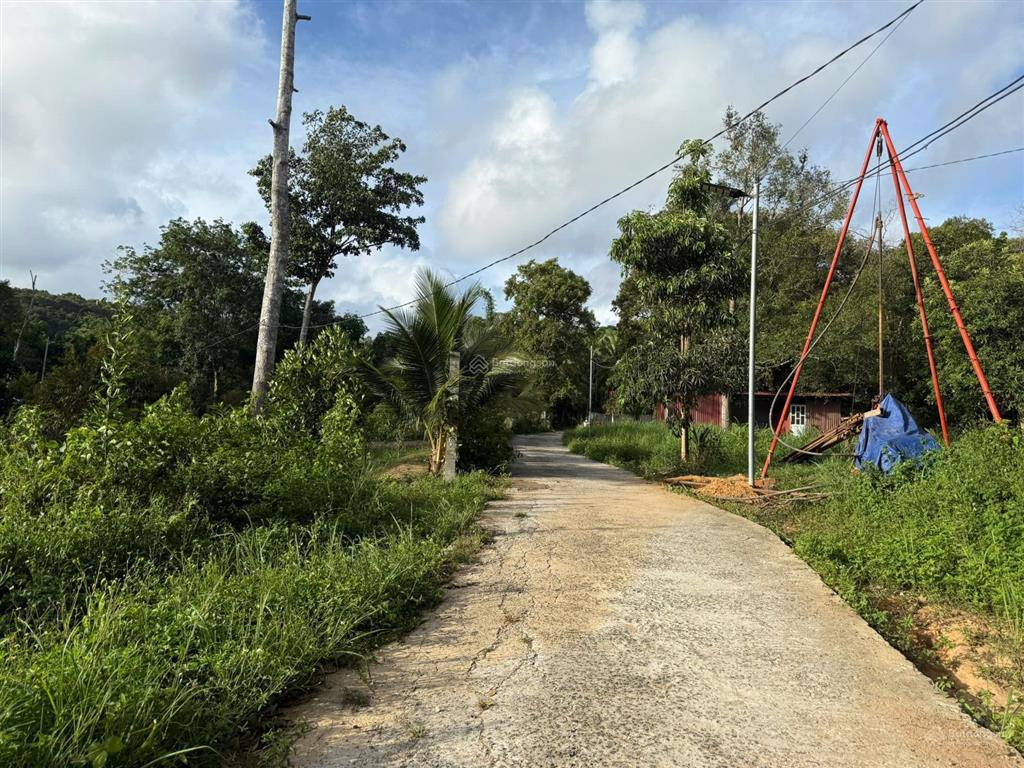 Bán lô 1000m2 làng resort cửa lấp, trần hưng đạo. mặt tiền rộng 24m, tách đôi hai sổ được ngay.