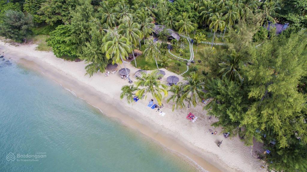 Bán 2618m2 khu phố tây ông lang, mặt tiền khủng 60m. làm resort quá đẹp. giá giảm shock chỉ 9.9 tỷ