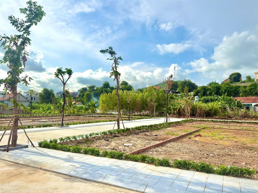 Cần tiền bán gấp lô đất tiếp giáp hạ long xanh giá hợp lý