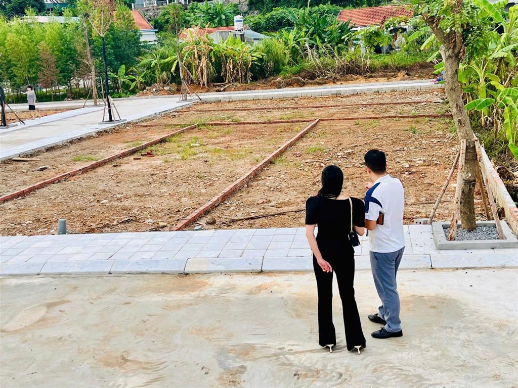 Bán lô góc 2 mặt tiền rộng thoáng. sổ đỏ trao tay. đất nền phân lô tại hạ long xanh