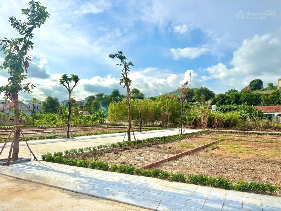 Đất nền giá tốt, thích hợp để ở, cho thuê kinh doanh, lõi trung tâm hạ long xanh