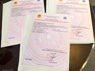 Đất nền kđt the link city dầu giây chỉ từ 18 tr/m2,thanh toán dài hạn, ngân hàng cho vay 75%/30 năm