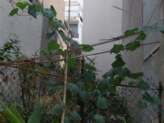 Nhỉnh 4 tỷ đất trống 67m2 vuông vức nở hậu hẻm 3,5 sạch sẽ tiện xây nhà đẹp