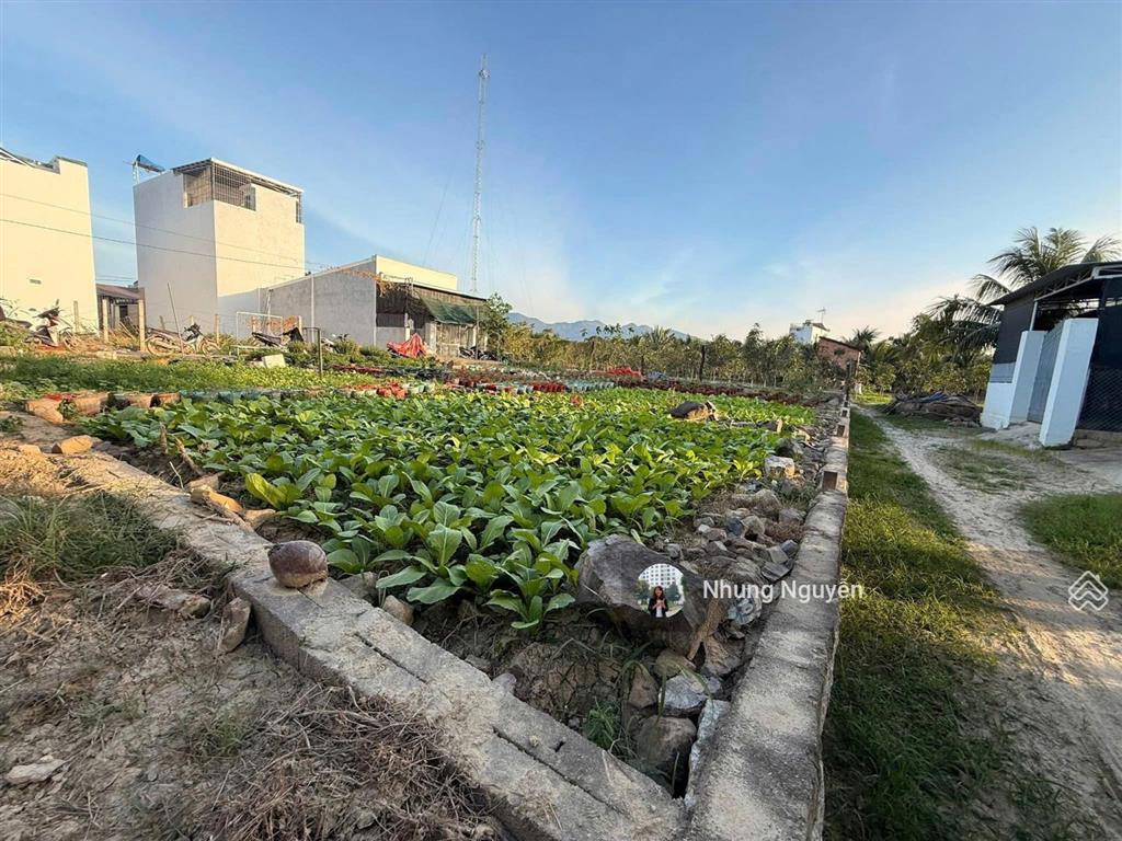 Bán đất gần chợ gò đình, diên khánh, 1,49 tỷ, 80m2, giá tốt, chính chủ