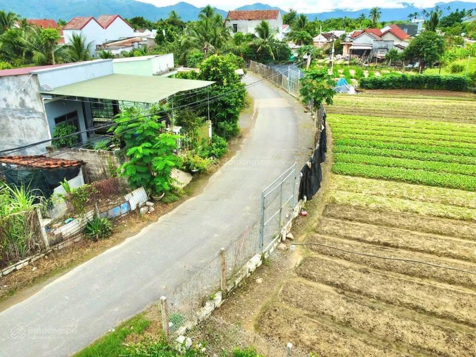 Lô đất mặt tiền đường nhựa ấp tân sinh, full thổ cư giá mềm phù hợp an cư