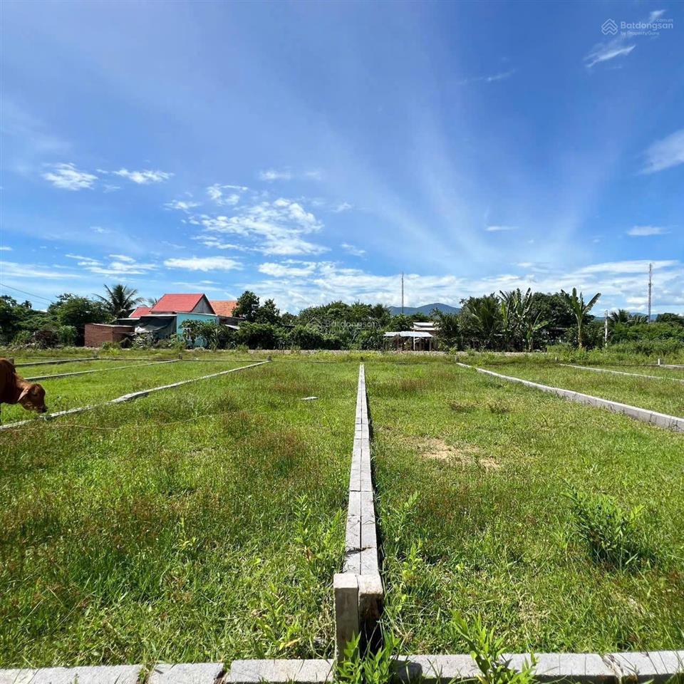 Lô đất mặt tiền đường nhựa ấp tân sinh, full thổ cư giá mềm phù hợp an cư