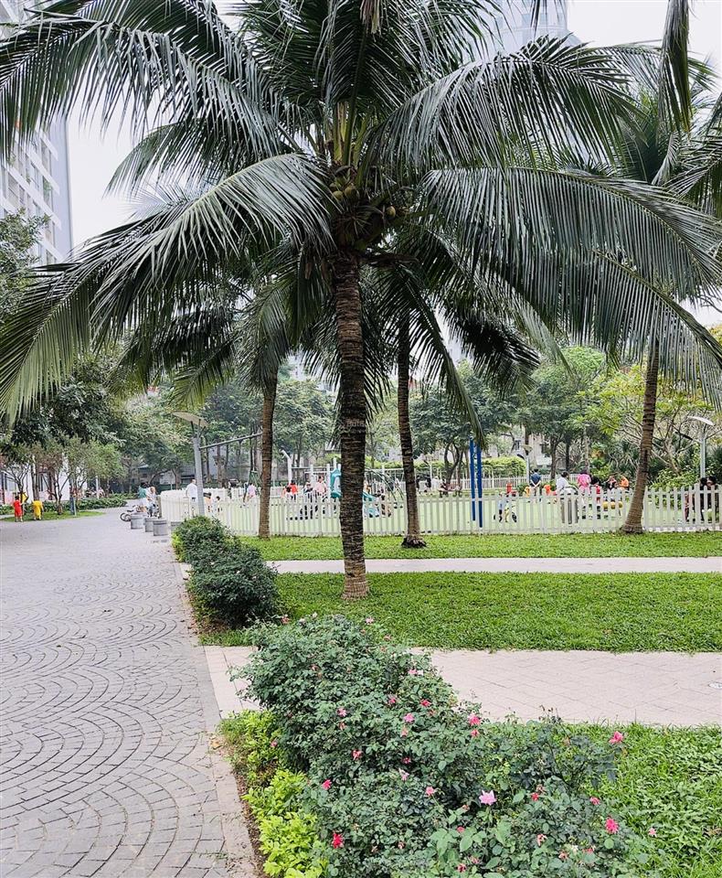 Bán nhà phố minh khai cạnh times city đi bộ ra hồ tiện ích vượt trội 130m2mt 5.5m 20 tỷ nhỉnh