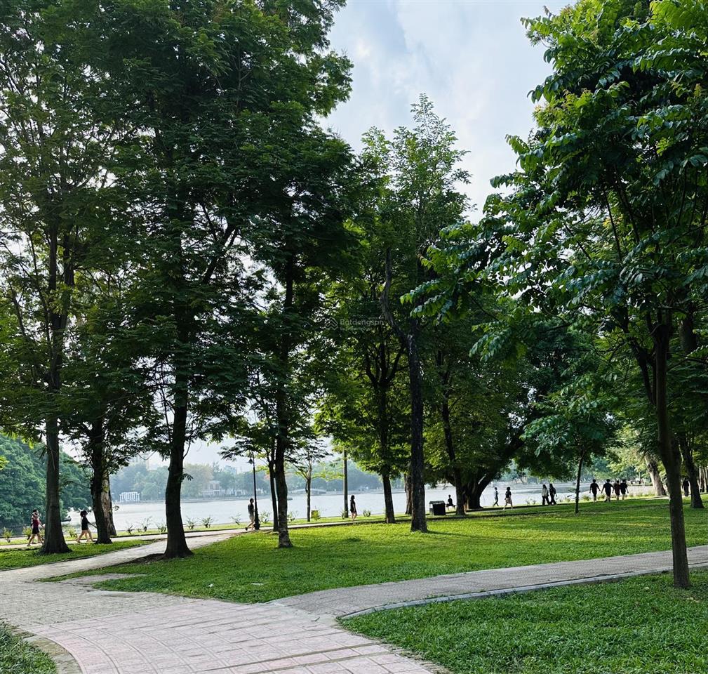 Bán căn hộ chung cư mặt phố hoa lư gần vincom bà triệu q. hbt căn góc thoáng 3 pn 11.2tỷ 0933 118 ***