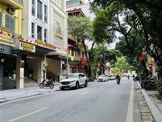 Bán nhà ngõ 61 lạc trung q.hbtvị trí vipkd văn phòng hay ở đều đẳng cấp45m24 tầngmt 4m16.8 tỷ