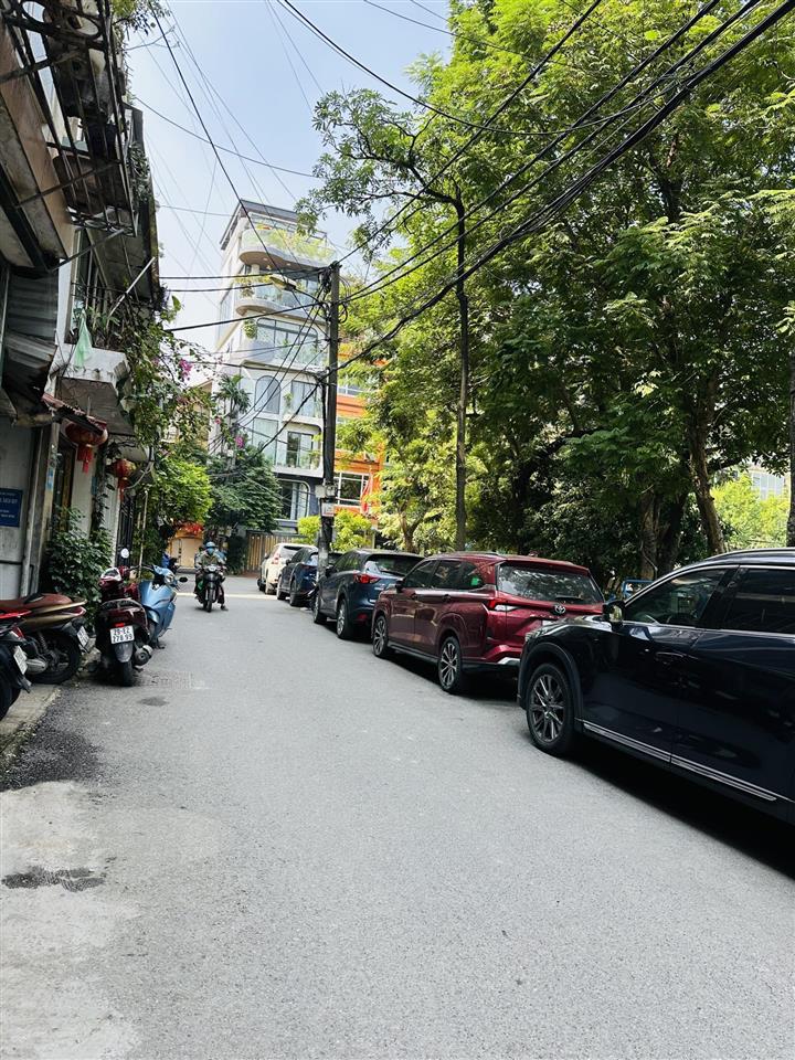 Bán nhà phân lô phố tạ quang bửu trần đại nghĩa q. hbtngõ to như phố45m2mt 5.2m14.5 tỷ (có tl)