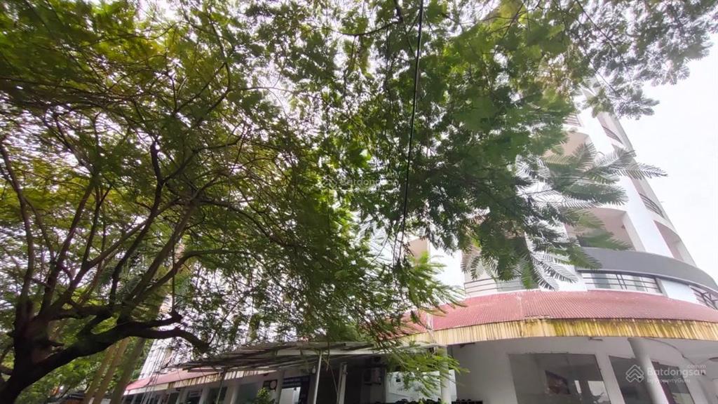 3882m2 x 7 tầng, mt 90m  80 tỷ  quận long biên, sổ riêng