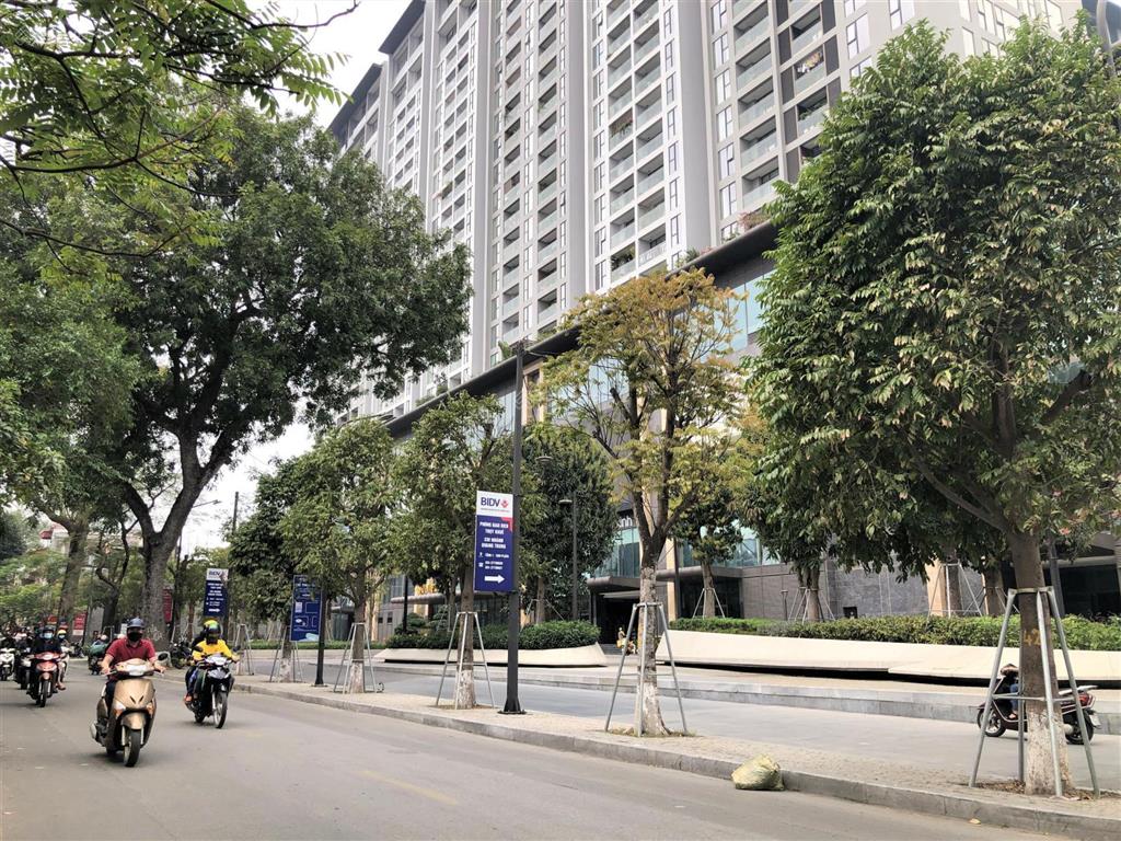 Bán đất vàng ba đình tặng nhà 2 tầng cũ. dt 44m2/ 8.81tỷ
