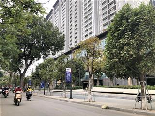 Bán đất vàng ba đình tặng nhà 2 tầng cũ. dt 44m2/ 8.81tỷ