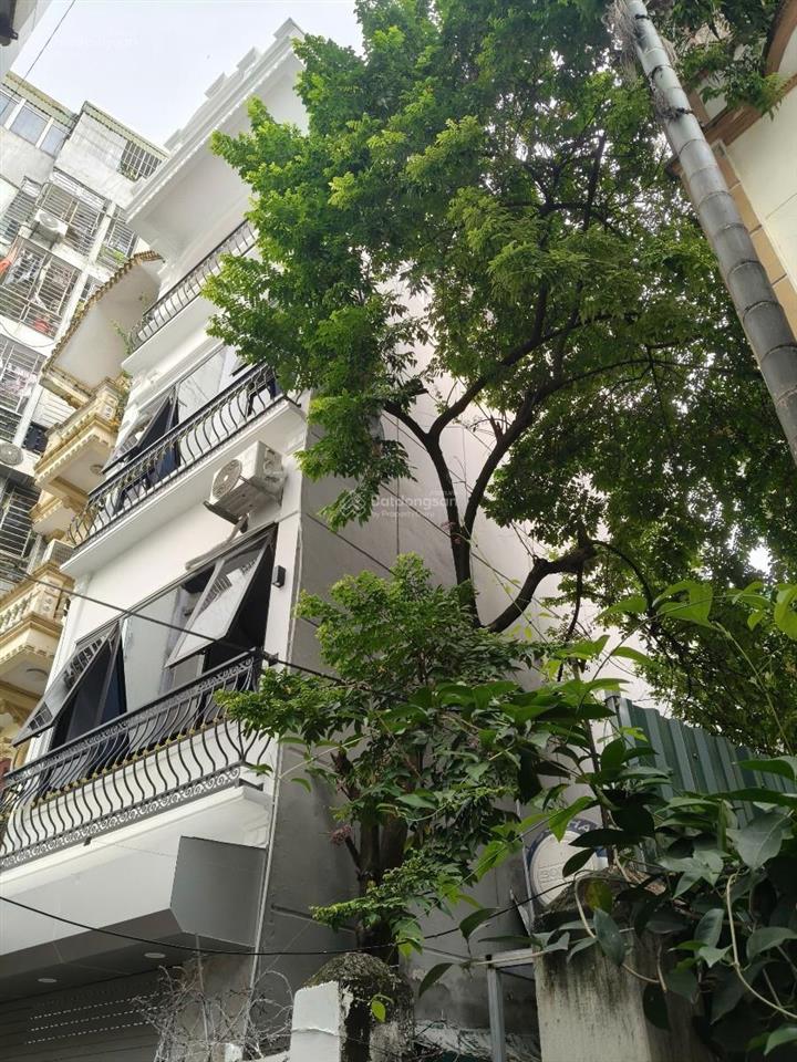 Nhà phường quan hoa  40m2  4 tầng  13 tỷ