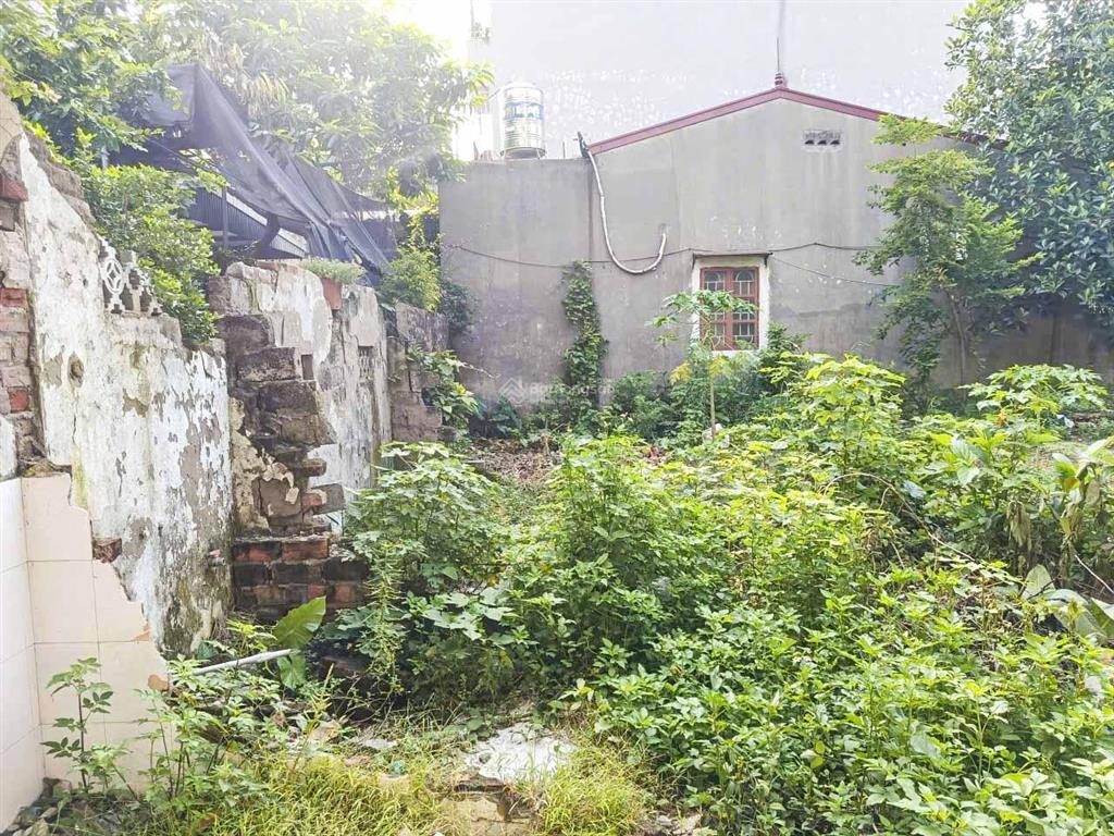 Bán đất vũ lăng, ngũ hiệp thanh trì vuông vắn đẹp, chủ cần tiền, bán giá mềm 50m²  chỉ 4 tỷ