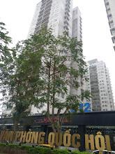 Chính chủ cần bán căn hộ kđt xuân phương căn góc, 102m  3n2vs, đủ đồ, hướng mát,view đẹp 8.1 tỷ