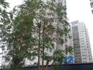 Chính chủ cần bán căn hộ kđt xuân phương căn góc, 102m  3n2vs, đủ đồ, hướng mát,view đẹp 8.1 tỷ