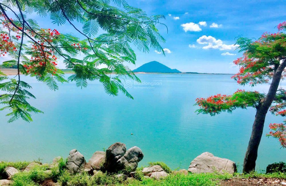 Bán quỹ đất 130ha giáp mặt hồ dầu tiếng rất đẹp