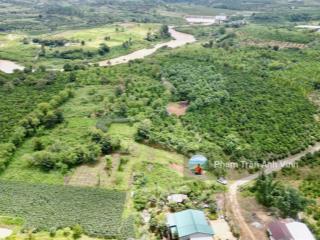 Bán 1,8 ha huyện đức trọng  view sông đồng nai rất đẹp