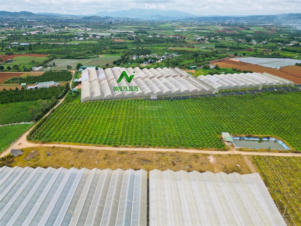 Chính chủ gửi bán quỹ đất 15 ha  huyện đức trọng giá rất tốt