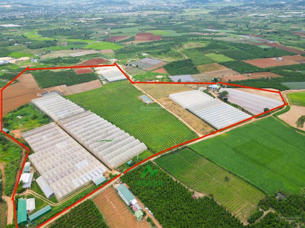 Chính chủ gửi bán quỹ đất 15 ha  huyện đức trọng giá rất tốt