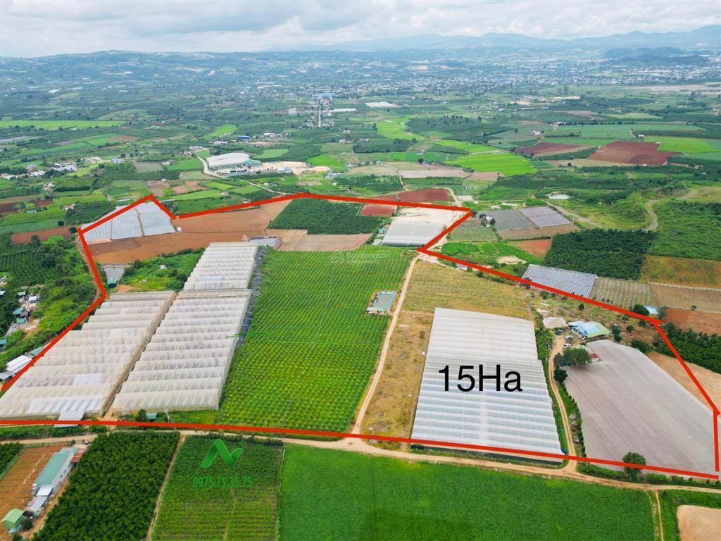 Chính chủ gửi bán quỹ đất 15 ha  huyện đức trọng giá rất tốt