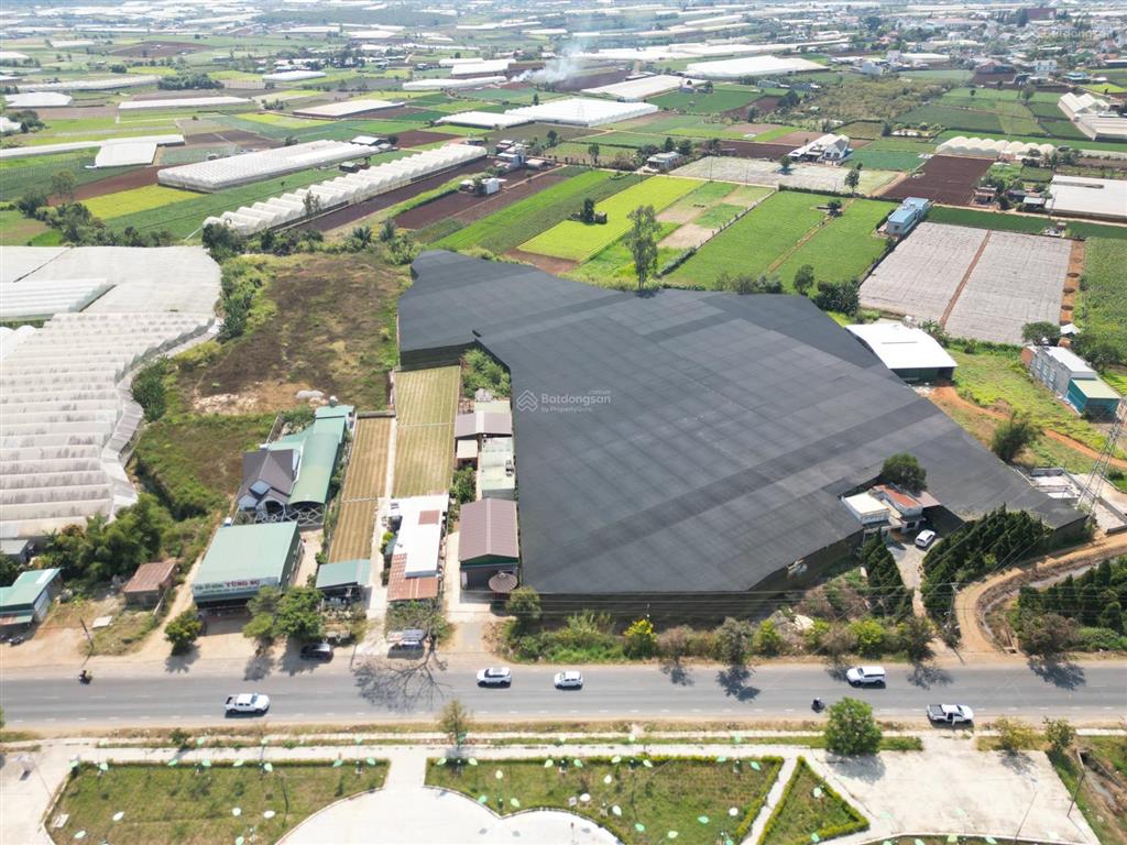 Bán farm nông nghiệp mặt tiền ql27  gần sân bay liên khương