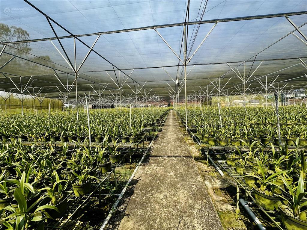 Bán farm nông nghiệp mặt tiền ql27  gần sân bay liên khương
