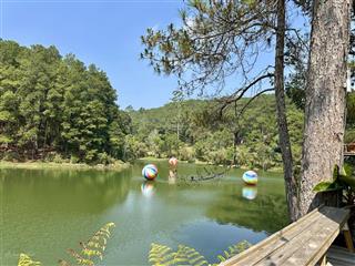 Bán khu du lịch  nghỉ dưỡng  lọt giữ rừng thông ngay trung tâm tp.đà lạt