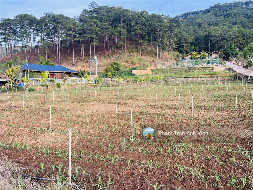 Bán lô đất 1.000m2 ngay chân đèo prenn  sát resort đôi dép