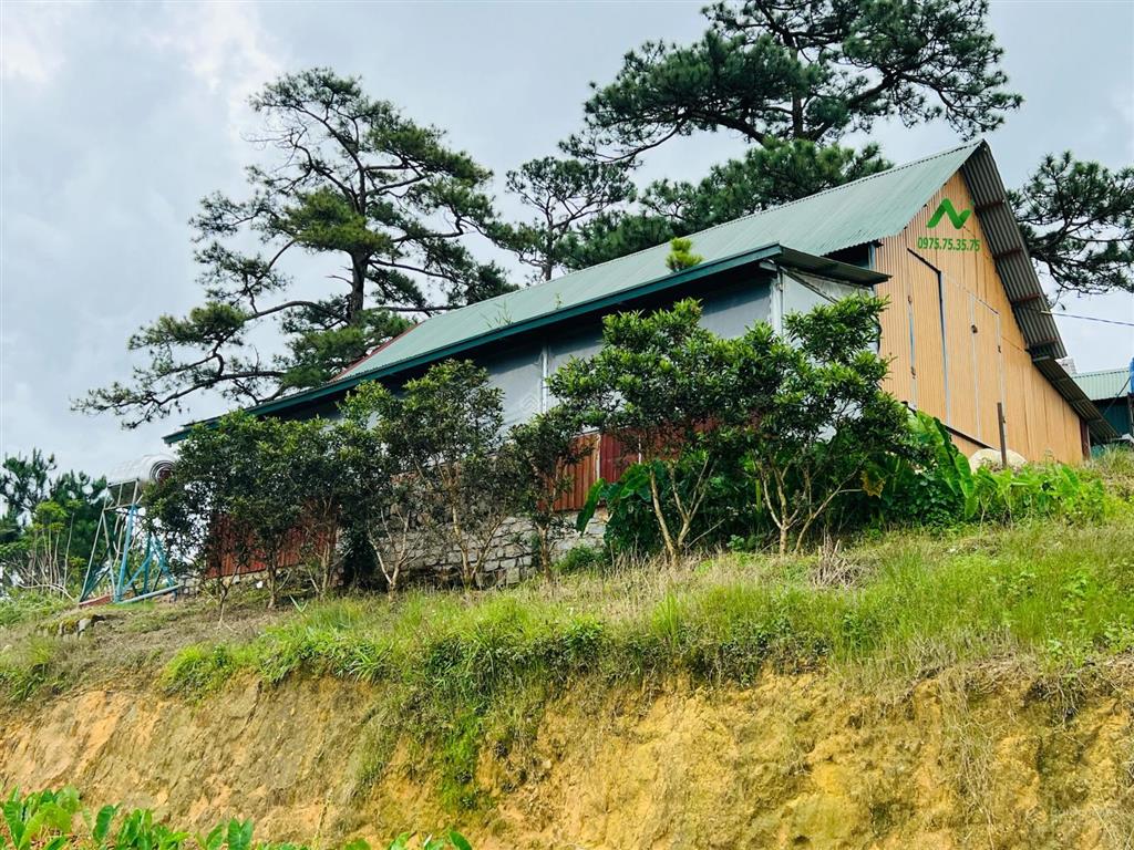 Bán quỹ đất 4,6ha  phường lâm viên mới (xã lát cũ) view săn mây rất đẹp
