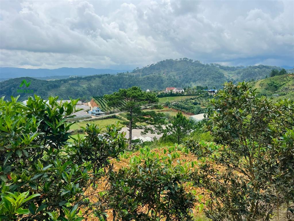 Bán quỹ đất 4,6ha  phường lâm viên mới (xã lát cũ) view săn mây rất đẹp