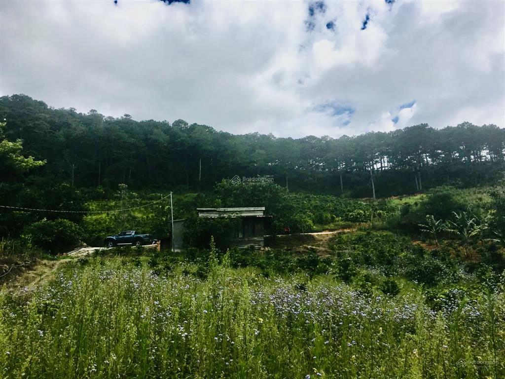 Bán quỹ đất giáp rừng thông  p. xuân trường  tp. đà lạt view rất đẹp