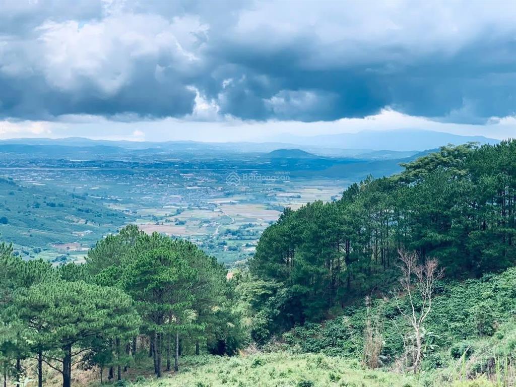 Bán quỹ đất giáp rừng thông  p. xuân trường  tp. đà lạt view rất đẹp