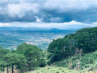 Bán quỹ đất giáp rừng thông  p. xuân trường  tp. đà lạt view rất đẹp