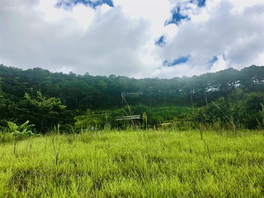 Bán quỹ đất giáp rừng thông  p. xuân trường  tp. đà lạt view rất đẹp