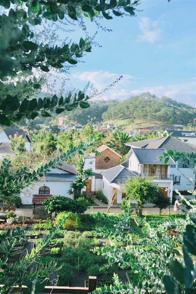 Bán khu nghỉ dưỡng gia đình rộng 14.000m2  ngay chân đèo prenn  tp.đà lạt
