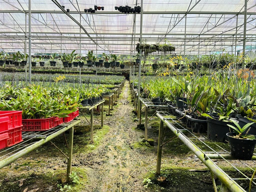 Bán lô đất 5.000m2  mặt tiền quốc lộ 20  xã đức trọng  tỉnh lâm đồng giá rất tốt