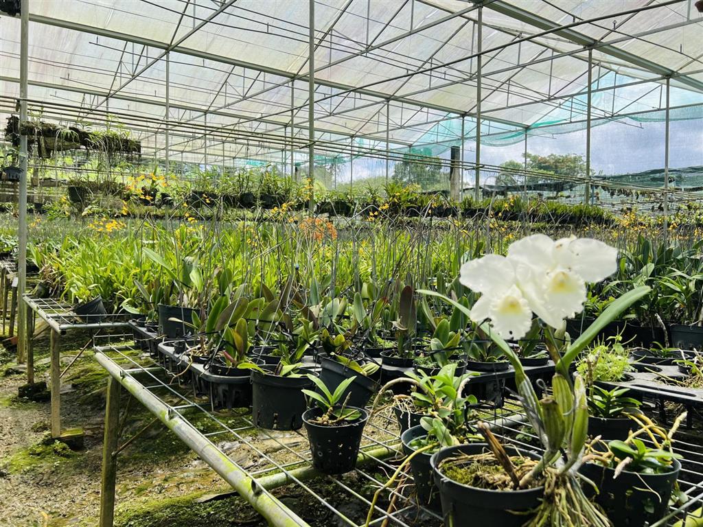 Bán lô đất 5.000m2  mặt tiền quốc lộ 20  xã đức trọng  tỉnh lâm đồng giá rất tốt