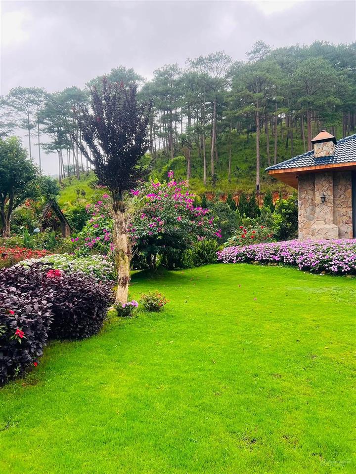 Biệt thự sân vườn rất đẹp  ngay chân đèo prenn  tp. đà lạt