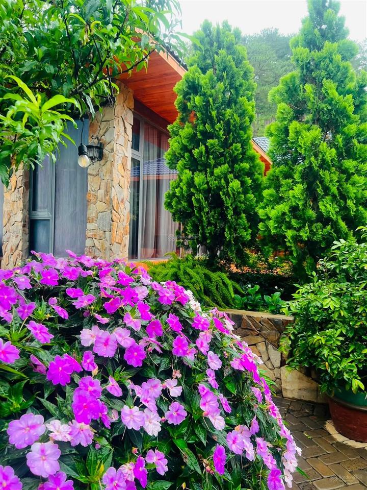 Biệt thự sân vườn rất đẹp  ngay chân đèo prenn  tp. đà lạt