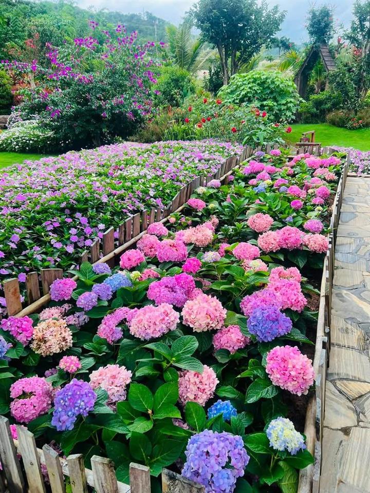 Biệt thự sân vườn rất đẹp  ngay chân đèo prenn  tp. đà lạt