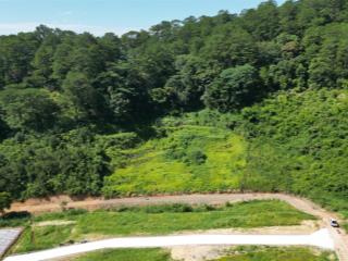 Cần bán lô đất nghỉ dưỡng 1.000m2  dưới chân đèo prenn  tp. đà lạt giá rẻ