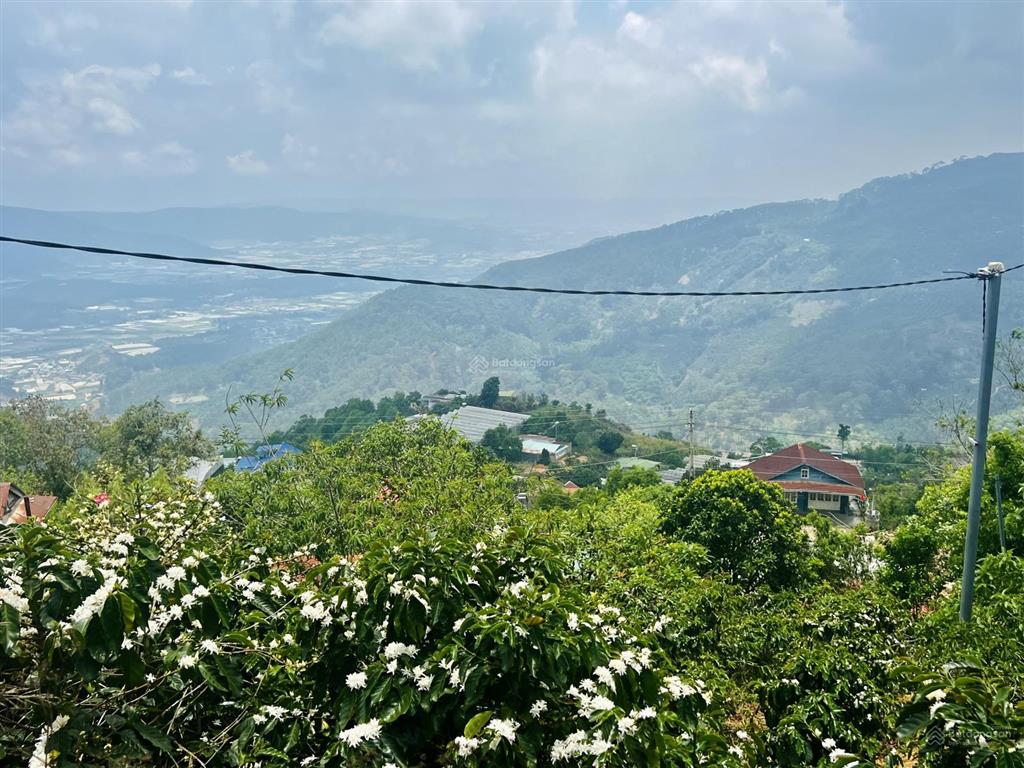 Ở xa cần bán lô đất 1.027m2 xã trạm hành  view săn mây rất đẹp